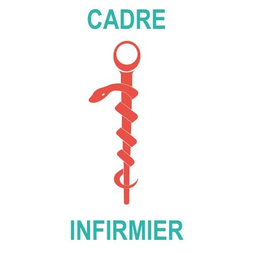 Caducée cadre infirmier logo