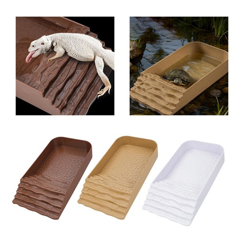 Bol eau pour tortue - bol, tortue,