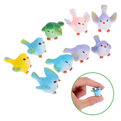 Pcs minuscules oiseaux - minuscules, en