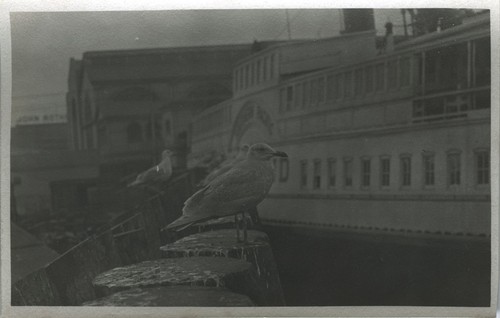 Photo ancienne vintage - photo,