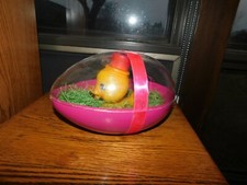 Easter Duck in Big Plastic Egg