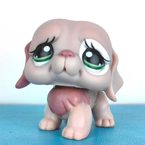 Authentic littlest pet - authentic, shop