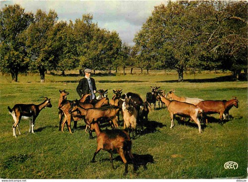 Carte postale indre - postale,