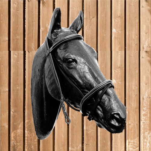 Bridle euro club - bridle, euro-club