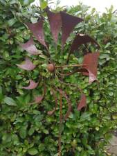 Grille noble éolienne flamme