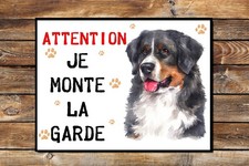 Plaque attention au chien