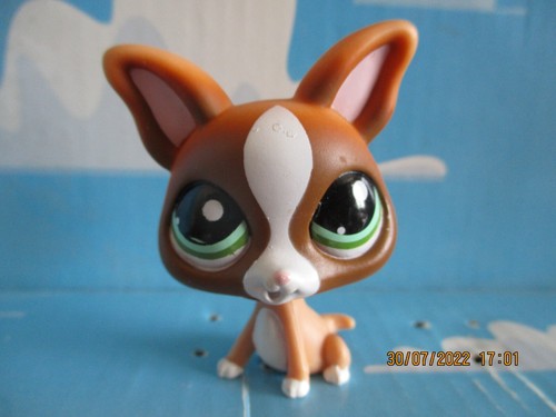 Petshop chien chihuahua - petshop,