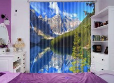 Ciel Cime Arbre Verte 3D