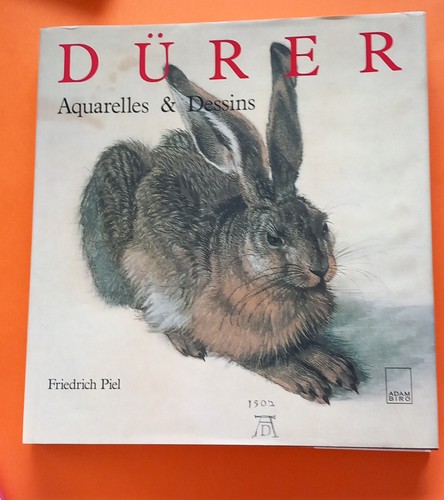 Durer aquarelles dessins - durer,