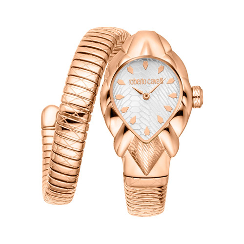 Montre roberto cavalli - montre,