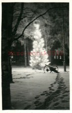 Photo, WW2. G./N.E.A 3. FIN 1941 : l'arbre de Noël de "Mykelli" (MB)21316