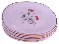 6 assiettes plates en faïence CÉRANORD ST AMAND - Modèle Anémone - lot 307-C