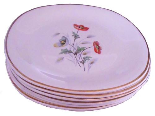 Assiettes plates faïence - plates, en