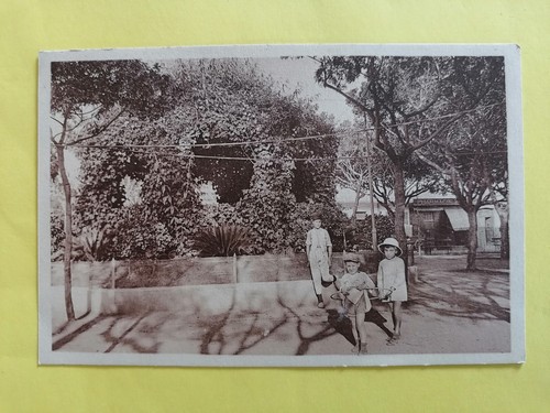 Cpa algérie thenia - cpa,