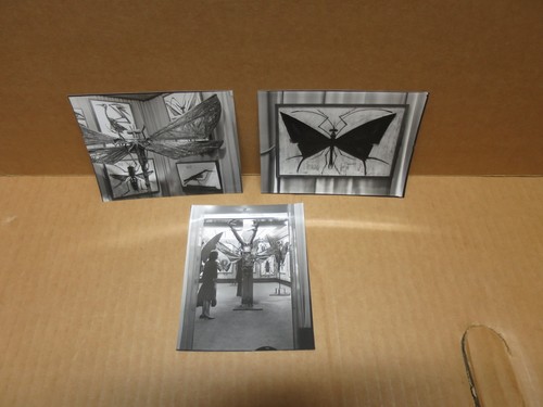 Bernard buffet photographies - bernard,