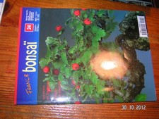 France Bonsaï n°24  Former Suiseki Rosier Genévriers