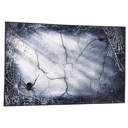 Toile araignée decoration - ,