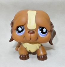LITTLEST PET SHOP PETSHOP #688 HASBRO DOG CHIEN SAINT BERNARD MARRON YEUX MAUVE