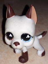 Petshop chien Danois Dogue