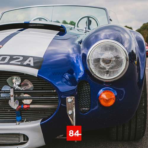 Cobra shelby ace - cobra,