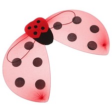  Ailes de coccinelle de