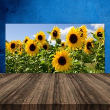 Crédence de cuisine en verre