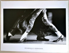 DOMINIQUE ISSERMANN affiche