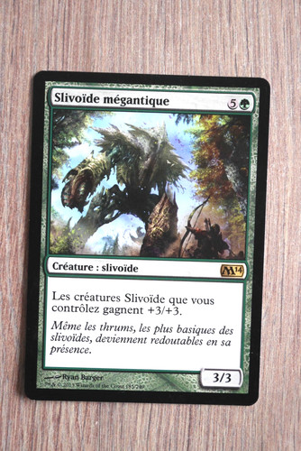 Carte magic mtg - , slivoÏde
