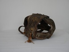 19th century studded - , horse