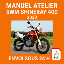 Manuel Atelier SWM Shineray