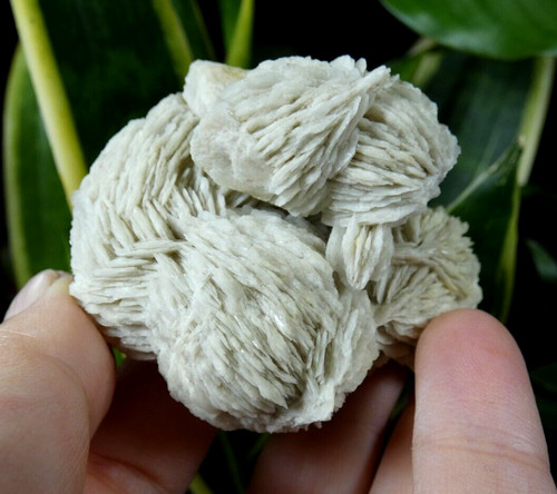 Pompons baryte laurent le - pompons, st
