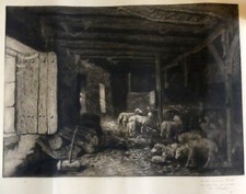 Gravure ancienne animaux - gravure,