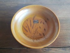 ARCOPAL VOLCAN Grand Plat