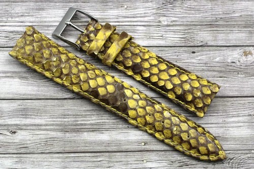 Montre band python véritable - python,