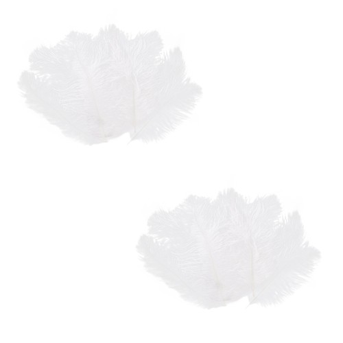 Pièces plume autruche - 40,
