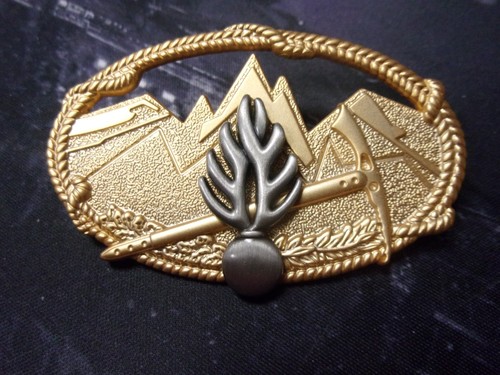 Insigne brevet technique - insigne,