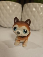✨️lot Littlest Pet Shop HUSKY #68 Petshop Authentic Lps✨️
