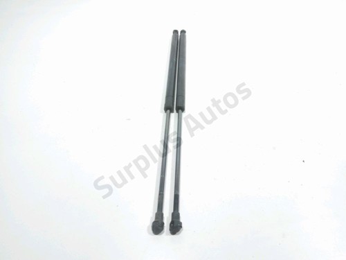 Verin hayon 8731g5 peugeot - verin, 206