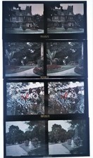 4 autochrome fleurs et jardin photo photographie stéréo