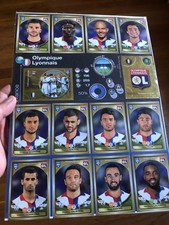 14 Images panini OL fifa 365