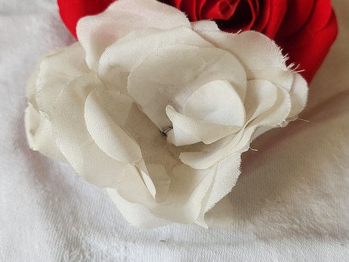 Fleur ancienne sur - fleur,