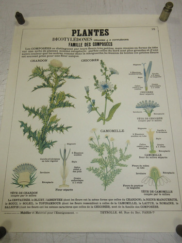 Affiche planche ecole - planche,