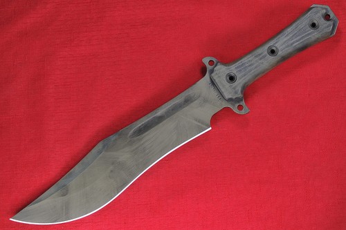 Busse combat anorexic - ,