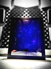 Tableau étoilé Playboy