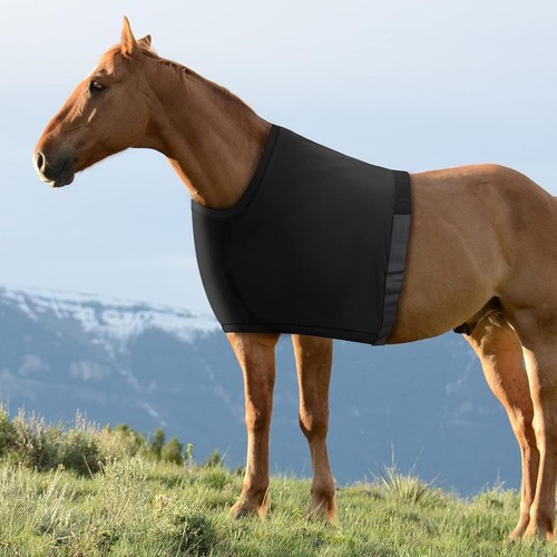 Protège épaules pour chevaux - protège-épaules,