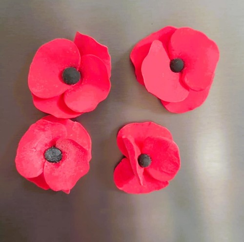 Magnet coquelicot lot - lot, de