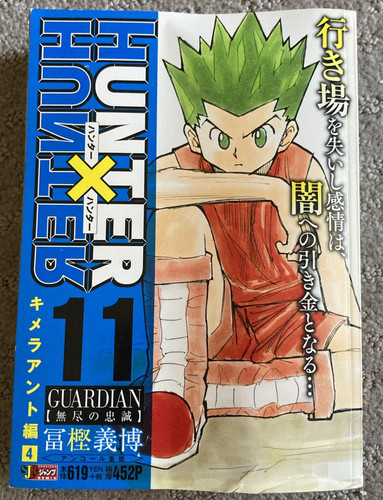 Hunter vol 11 - x,