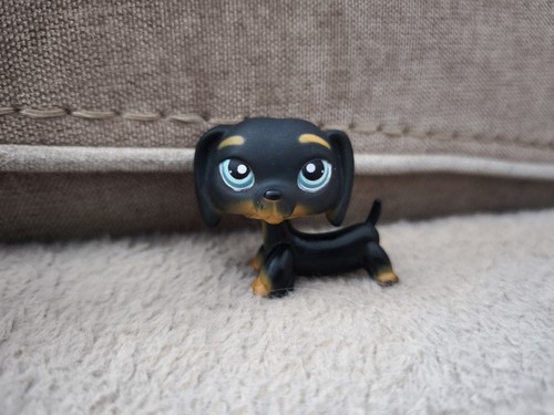 Lps littlest petshop hasbro - littlest,