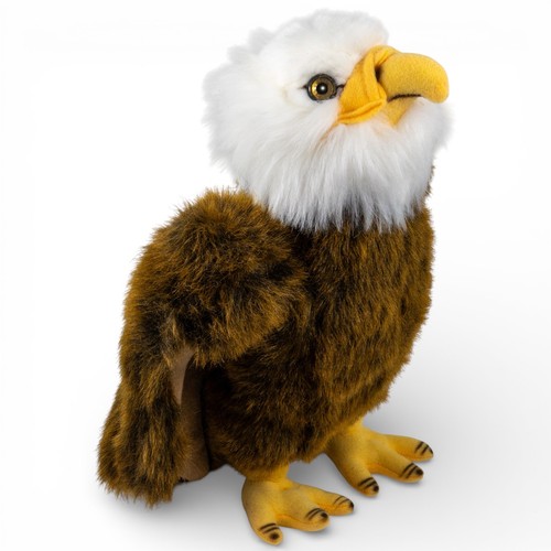 Carl dick aigle oiseau - carl,