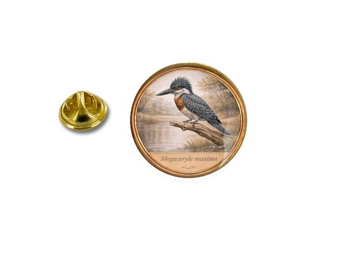 Pins pin badge - pin's, broche